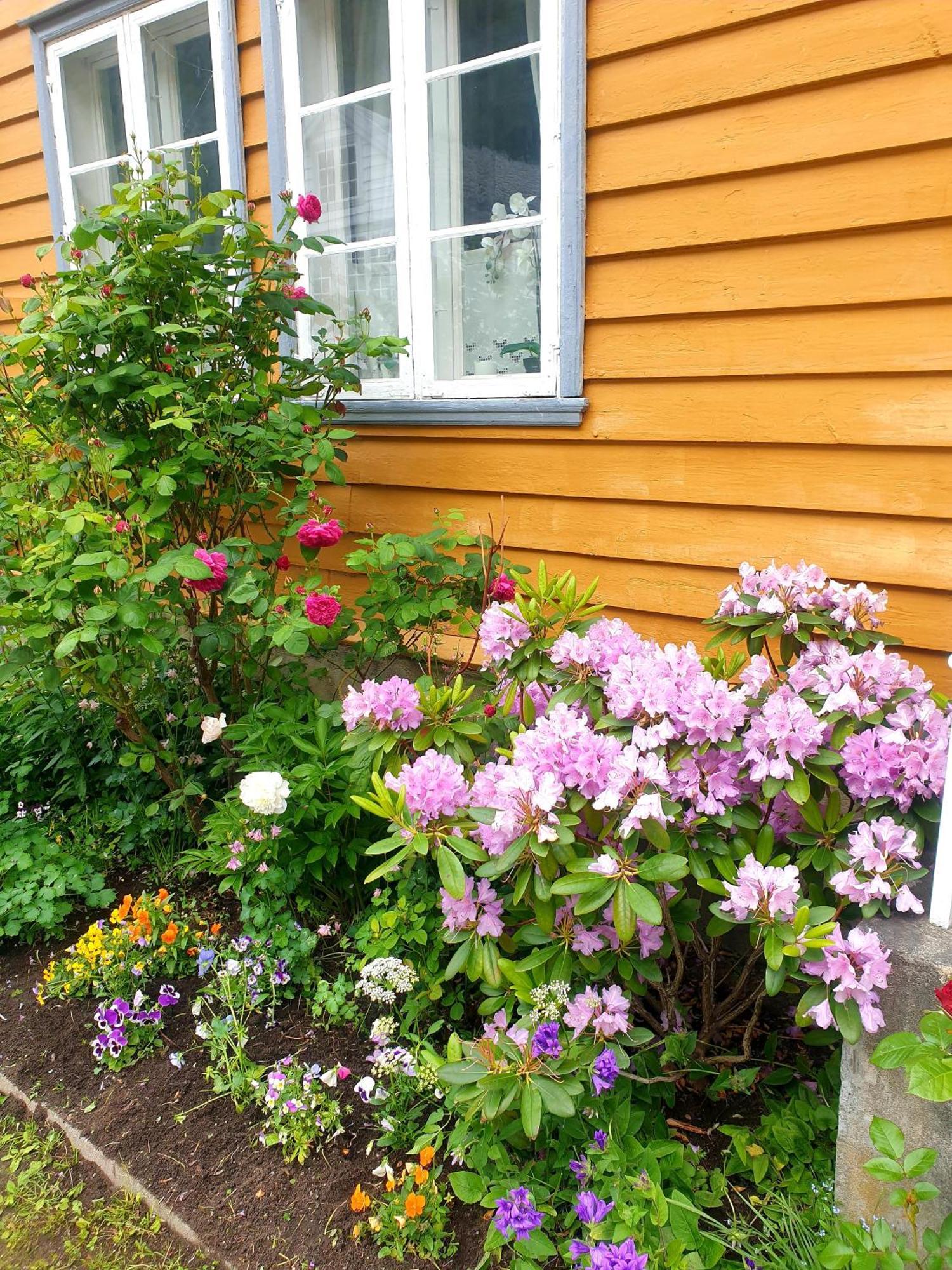 Villa Kvammehuset Pa Gamle Lærdalsøyri Esterno foto