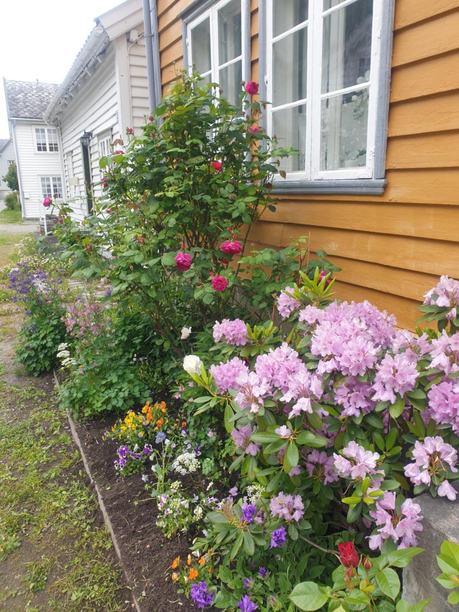 Villa Kvammehuset Pa Gamle Lærdalsøyri Esterno foto